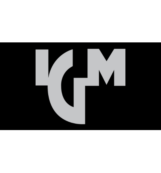 Internazionale Graniti (S.P.A.)